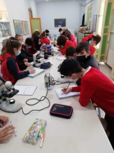 277781112_3221223061446947_5220141501013766633_n-600x800