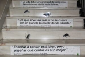 aula-matinal-biblioteca-4-600x400