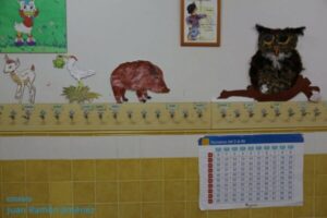 educacion-primaria_13-600x400