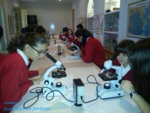 laboratorio_6-600x450