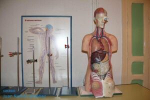 laboratorio_7-600x400